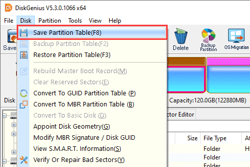 Partition Recovery