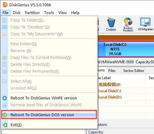 Reboot and Run DiskGenius DOS Version